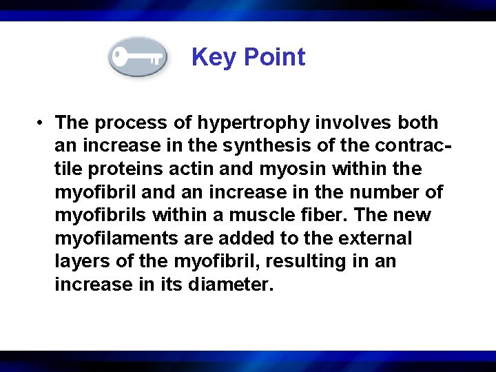 Key Point • The process of hypertrophy involves both an increase in the synthesis