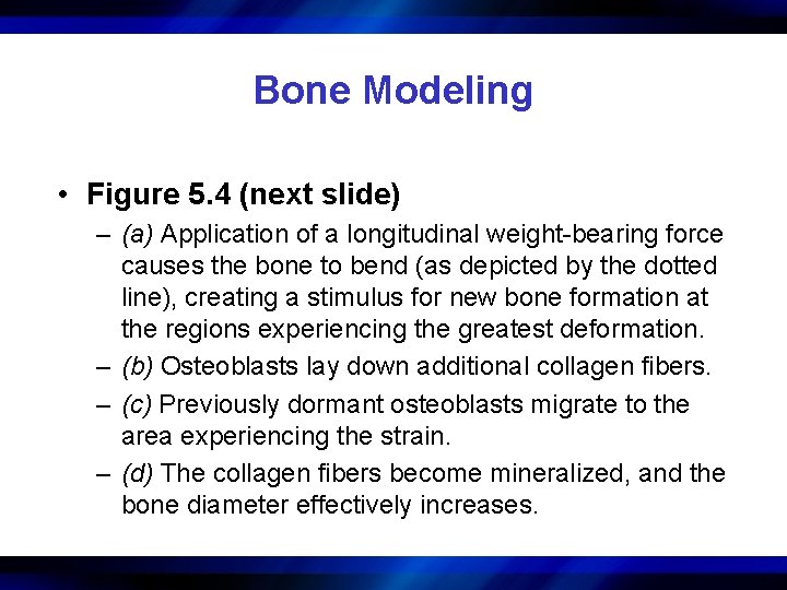 Bone Modeling • Figure 5. 4 (next slide) – (a) Application of a longitudinal