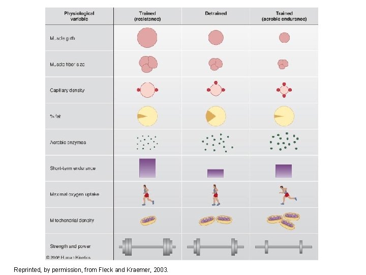 Figure 5. 6 Reprinted, by permission, from Fleck and Kraemer, 2003. 