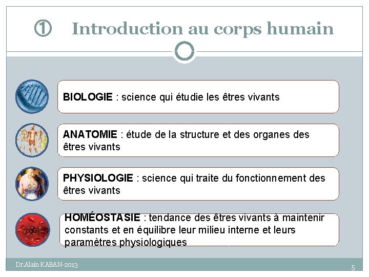 ① Introduction au corps humain BIOLOGIE : science qui étudie les êtres vivants ANATOMIE