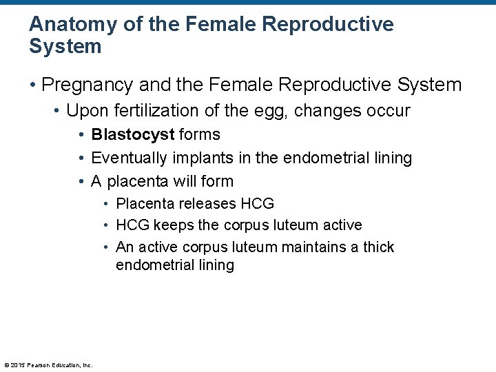 Anatomy of the Female Reproductive System • Pregnancy and the Female Reproductive System •