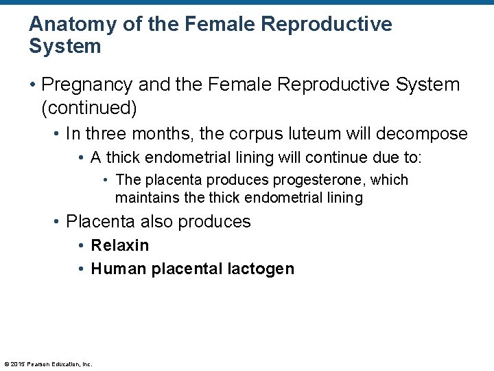 Anatomy of the Female Reproductive System • Pregnancy and the Female Reproductive System (continued)