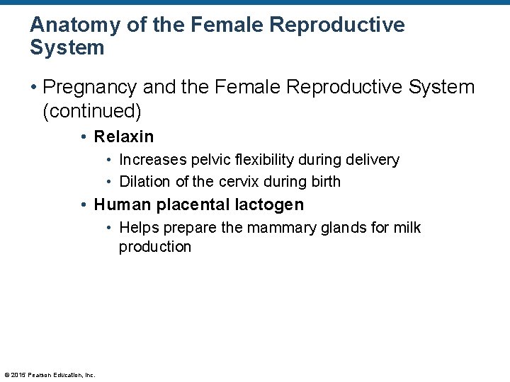 Anatomy of the Female Reproductive System • Pregnancy and the Female Reproductive System (continued)
