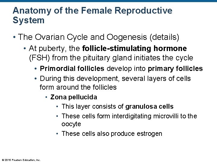 Anatomy of the Female Reproductive System • The Ovarian Cycle and Oogenesis (details) •