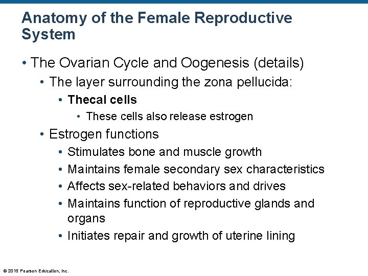 Anatomy of the Female Reproductive System • The Ovarian Cycle and Oogenesis (details) •