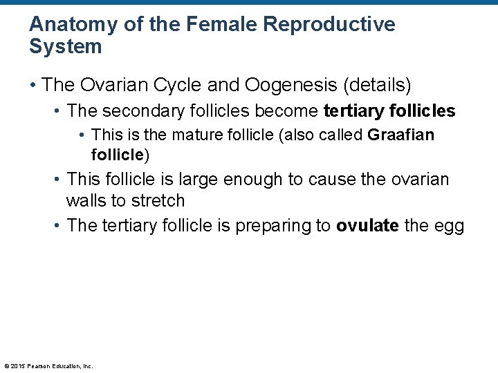 Anatomy of the Female Reproductive System • The Ovarian Cycle and Oogenesis (details) •