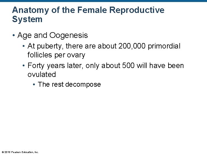 Anatomy of the Female Reproductive System • Age and Oogenesis • At puberty, there