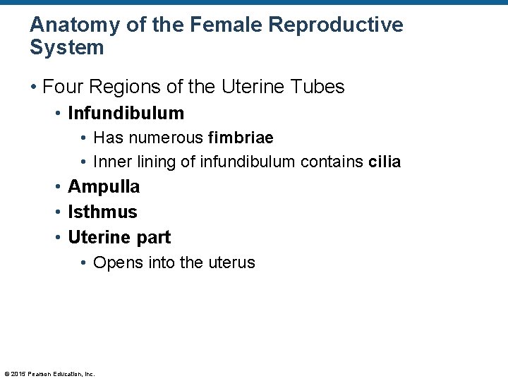 Anatomy of the Female Reproductive System • Four Regions of the Uterine Tubes •