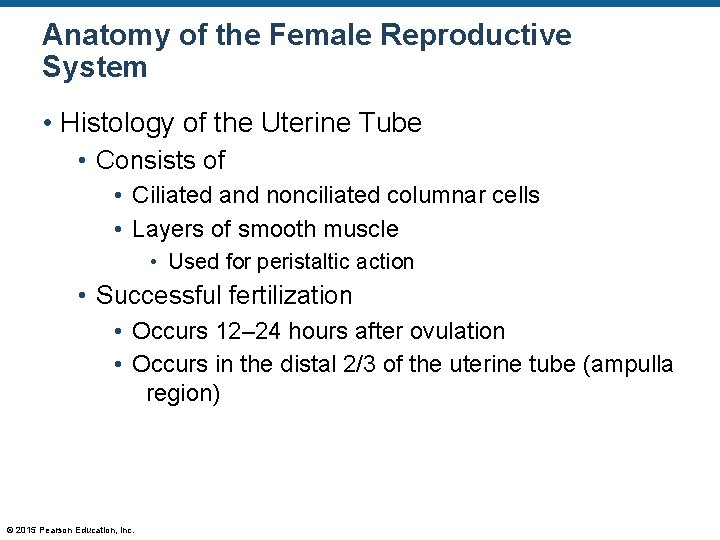Anatomy of the Female Reproductive System • Histology of the Uterine Tube • Consists