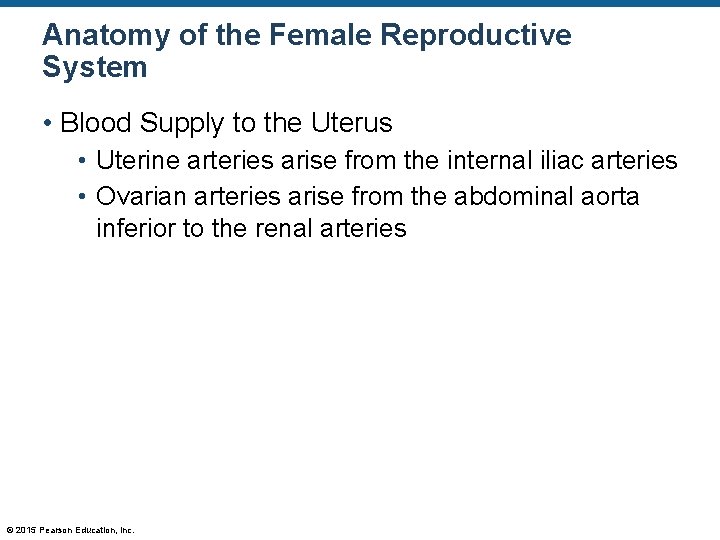 Anatomy of the Female Reproductive System • Blood Supply to the Uterus • Uterine