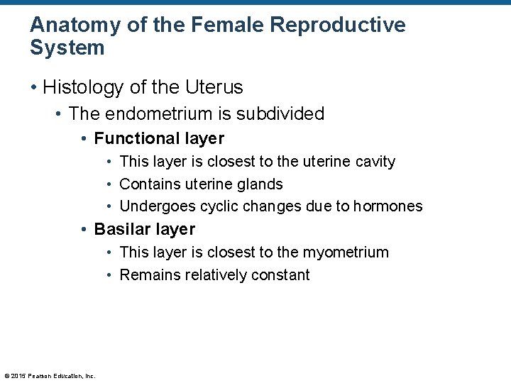 Anatomy of the Female Reproductive System • Histology of the Uterus • The endometrium