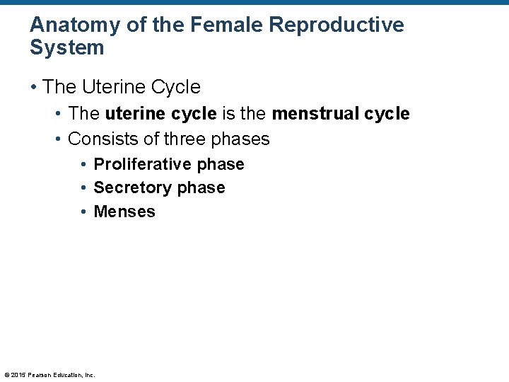 Anatomy of the Female Reproductive System • The Uterine Cycle • The uterine cycle