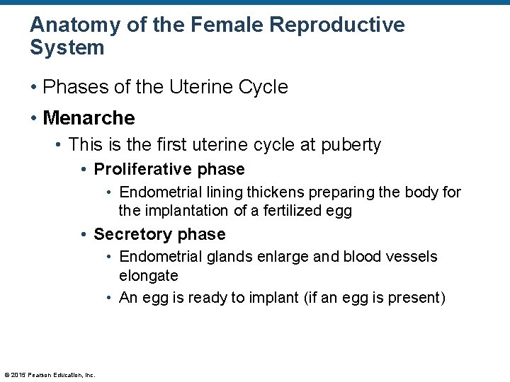 Anatomy of the Female Reproductive System • Phases of the Uterine Cycle • Menarche