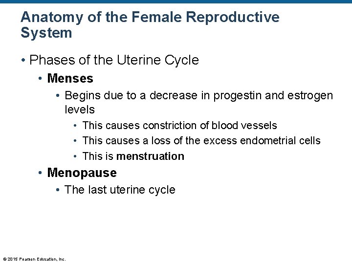 Anatomy of the Female Reproductive System • Phases of the Uterine Cycle • Menses