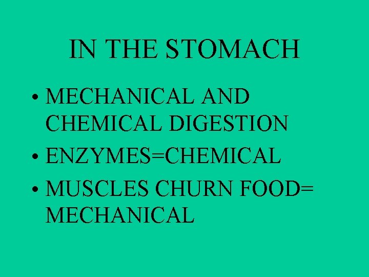 IN THE STOMACH • MECHANICAL AND CHEMICAL DIGESTION • ENZYMES=CHEMICAL • MUSCLES CHURN FOOD=