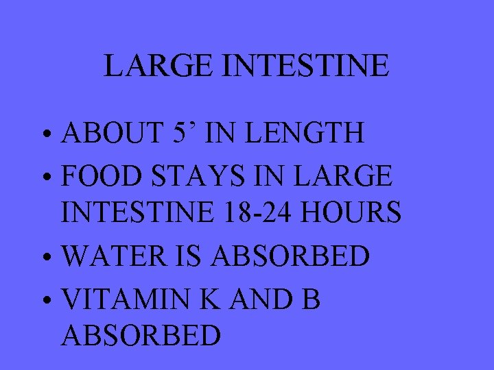 LARGE INTESTINE • ABOUT 5’ IN LENGTH • FOOD STAYS IN LARGE INTESTINE 18