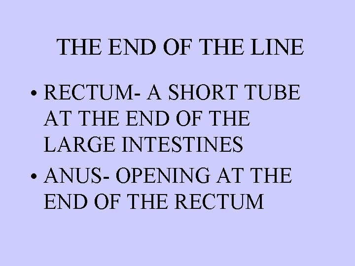 THE END OF THE LINE • RECTUM- A SHORT TUBE AT THE END OF