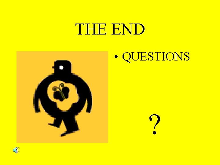 THE END • QUESTIONS ? 