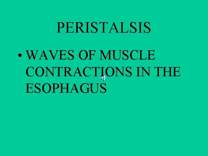 PERISTALSIS • WAVES OF MUSCLE CONTRACTIONS IN THE ESOPHAGUS 