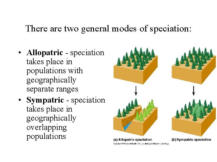 There are two general modes of speciation: • Allopatric - speciation takes place in