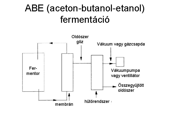 ABE (aceton-butanol-etanol) fermentáció Oldószer gőz Vákuum vagy gázcsapda Fermentor Vákuumpumpa vagy ventillátor Összegyűjtött oldószer