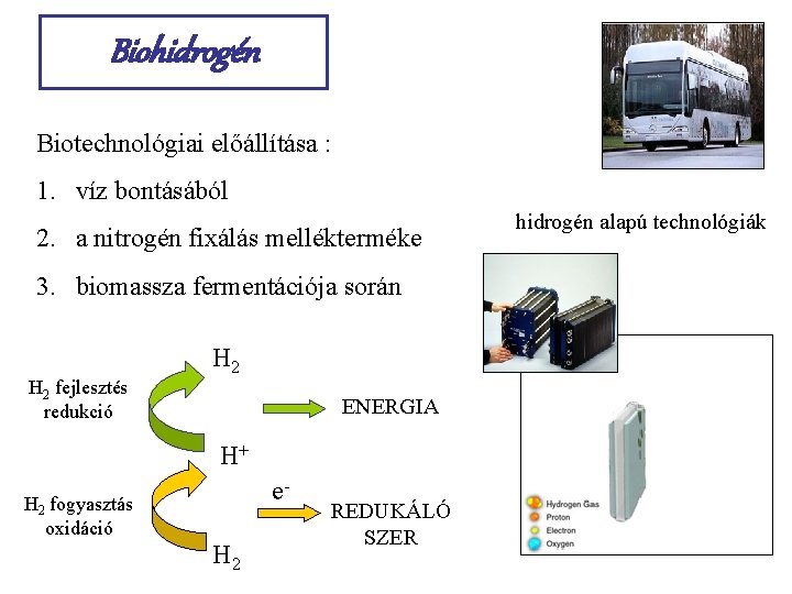 Biohidrogén Biotechnológiai előállítása : 1. víz bontásából 2. a nitrogén fixálás mellékterméke 3. biomassza