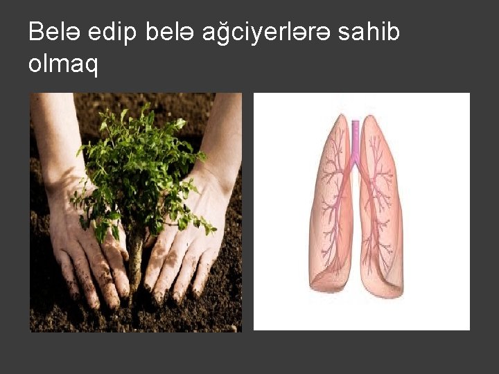 Belə edip belə ağciyerlərə sahib olmaq 