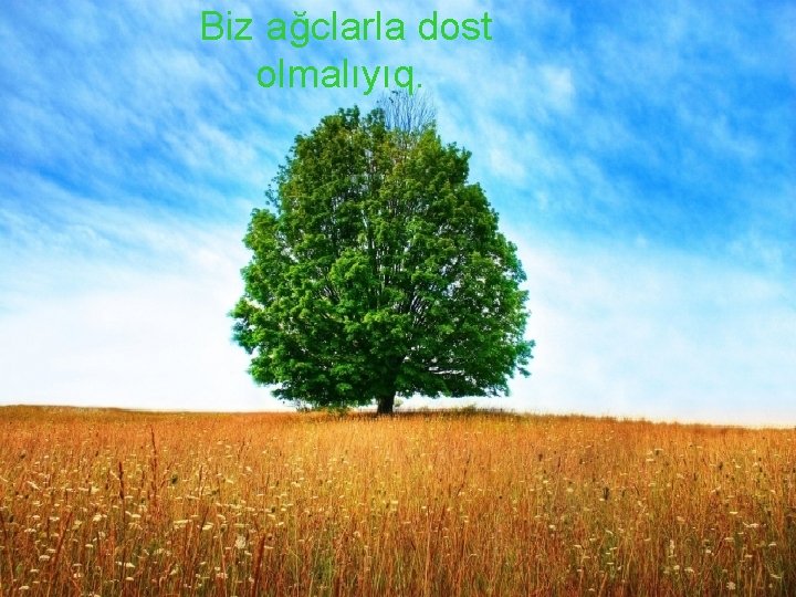 Biz ağclarla dost olmalıyıq. 