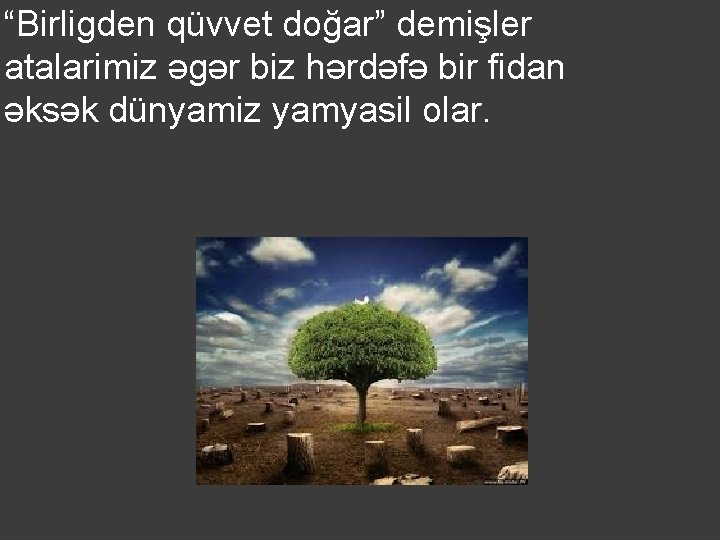 “Birligden qüvvet doğar” demişler atalarimiz əgər biz hərdəfə bir fidan əksək dünyamiz yamyasil olar.