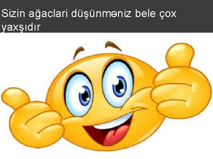 Sizin ağaclari düşünməniz bele çox yaxşıdır 