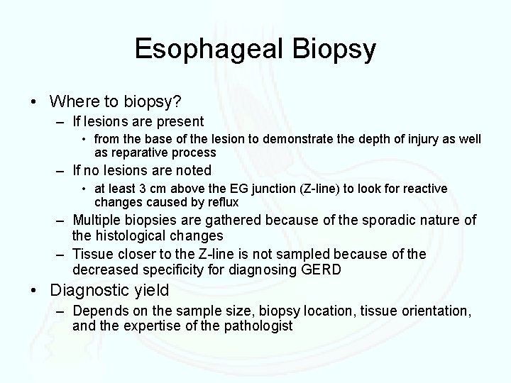 Esophageal Biopsy • Where to biopsy? – If lesions are present • from the
