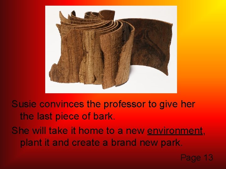 Susie convinces the professor to give her the last piece of bark. She will
