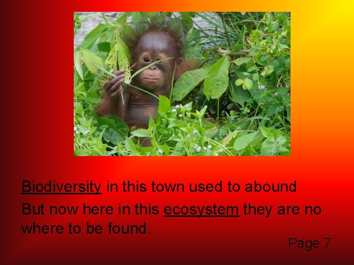 Biodiversity in this town used to abound But now here in this ecosystem they