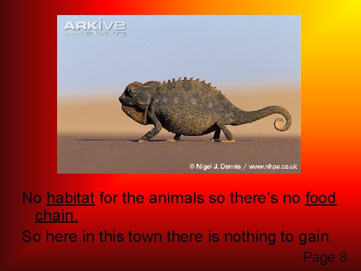 No habitat for the animals so there’s no food chain. So here in this