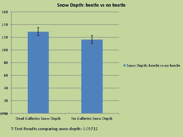 Snow Depth: beetle vs no beetle 160 140 120 100 80 Snow Depth: beetle