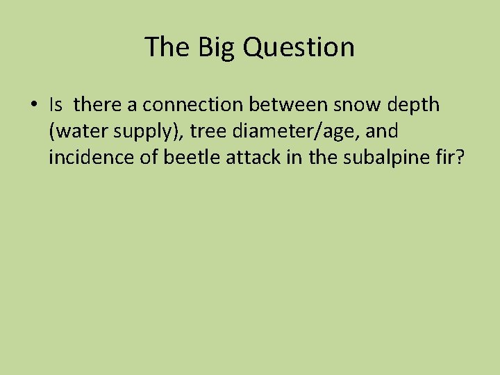 The Big Question • Is there a connection between snow depth (water supply), tree