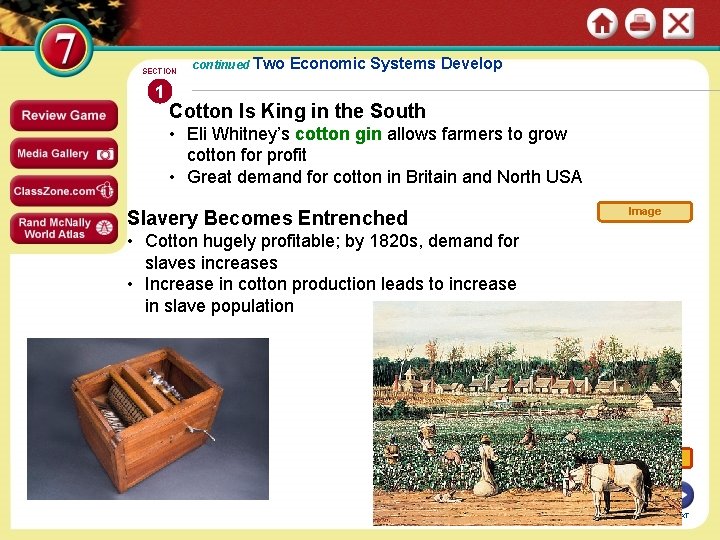 SECTION 1 continued Two Economic Systems Develop Cotton Is King in the South •