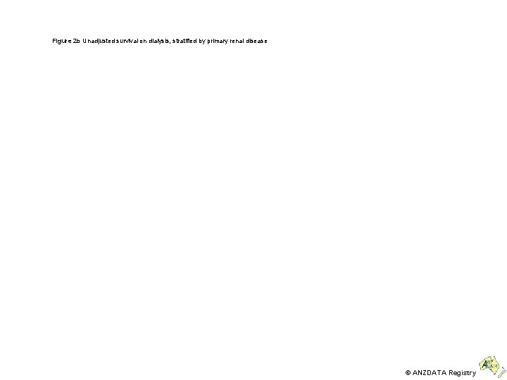 Figure 2 b Unadjusted survival on dialysis, stratified by primary renal disease © ANZDATA