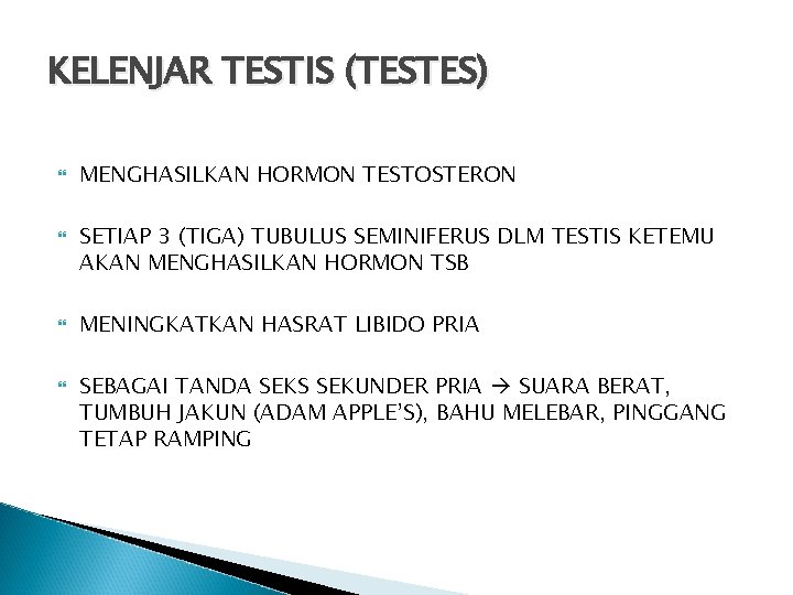 KELENJAR TESTIS (TESTES) MENGHASILKAN HORMON TESTOSTERON SETIAP 3 (TIGA) TUBULUS SEMINIFERUS DLM TESTIS KETEMU
