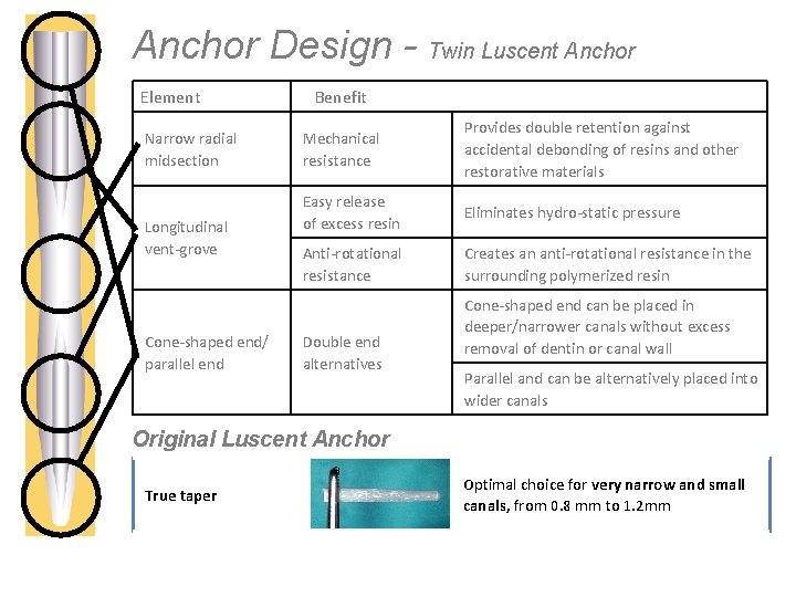 Anchor Design - Twin Luscent Anchor Element Narrow radial midsection Longitudinal vent-grove Cone-shaped end/