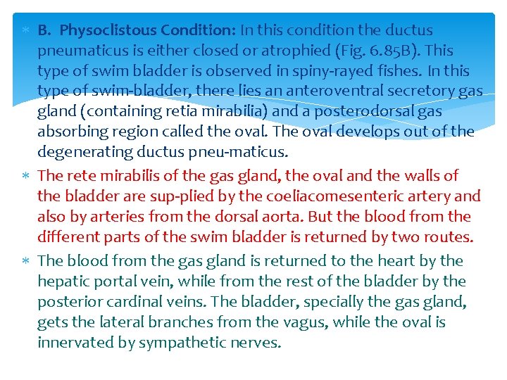  B. Physoclistous Condition: In this condition the ductus pneumaticus is either closed or