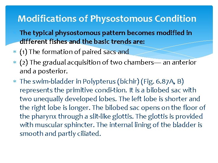 Modifications of Physostomous Condition The typical physostomous pattern becomes modified in different fishes and