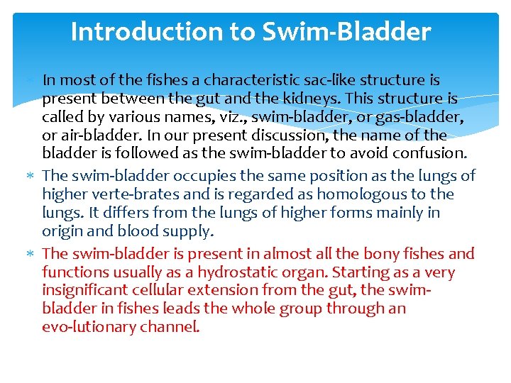 Introduction to Swim Bladder In most of the fishes a characteristic sac like structure