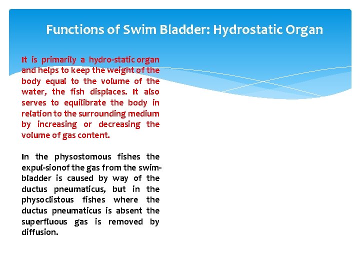 Functions of Swim Bladder: Hydrostatic Organ It is primarily a hydro static organ and