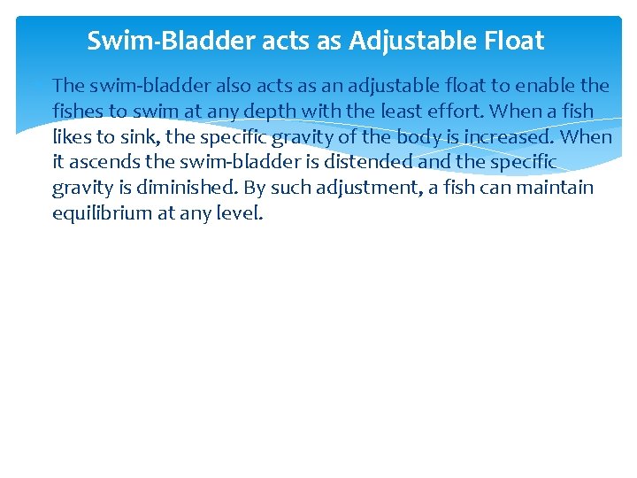 Swim Bladder acts as Adjustable Float The swim bladder also acts as an adjustable