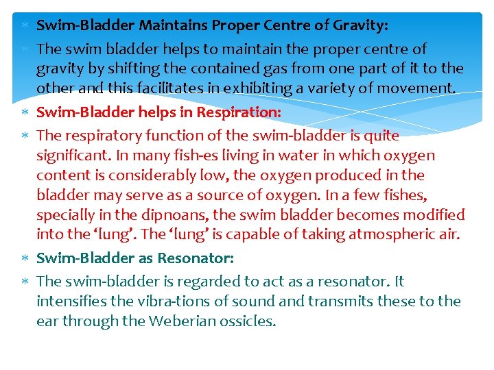  Swim Bladder Maintains Proper Centre of Gravity: The swim bladder helps to maintain