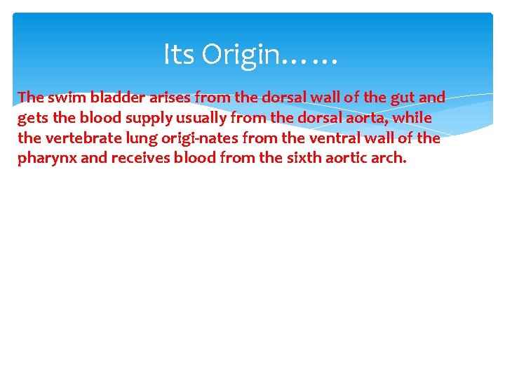 Its Origin…… The swim bladder arises from the dorsal wall of the gut and