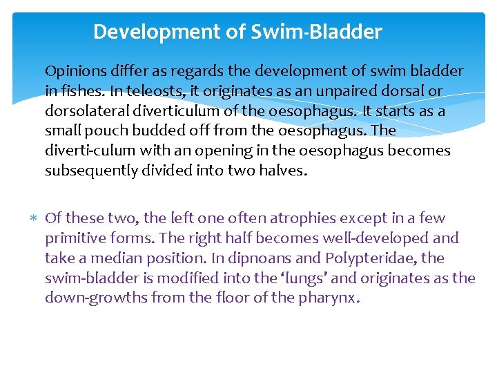 Development of Swim Bladder Opinions differ as regards the development of swim bladder in