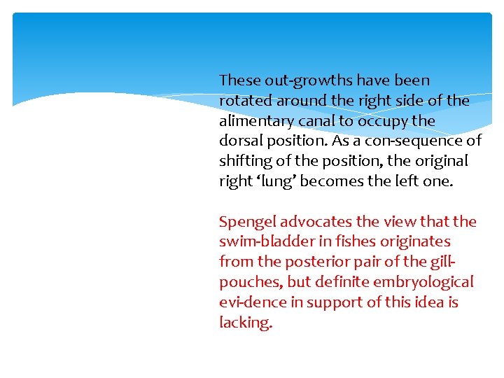 These out growths have been rotated around the right side of the alimentary canal