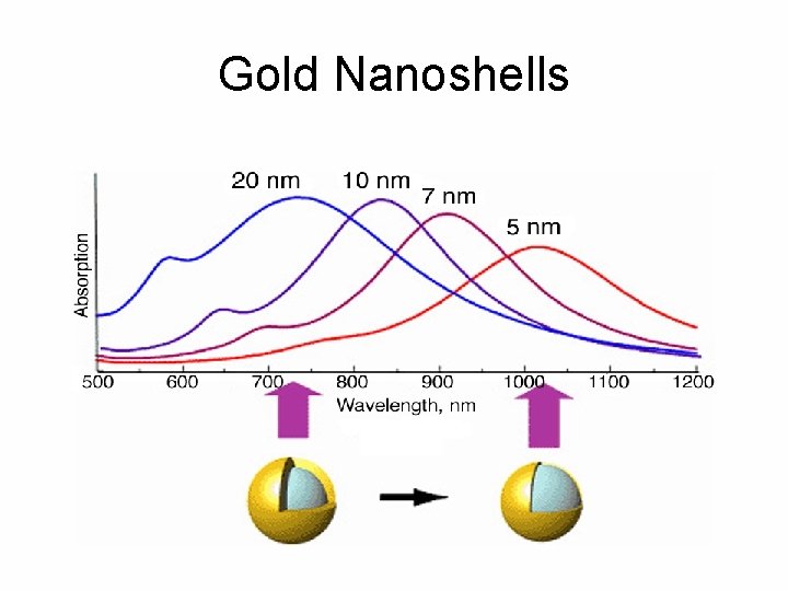 Gold Nanoshells 